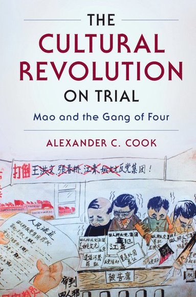 bokomslag The Cultural Revolution on Trial