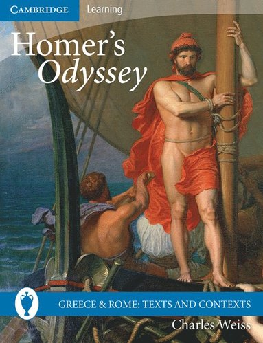 bokomslag Homer's Odyssey