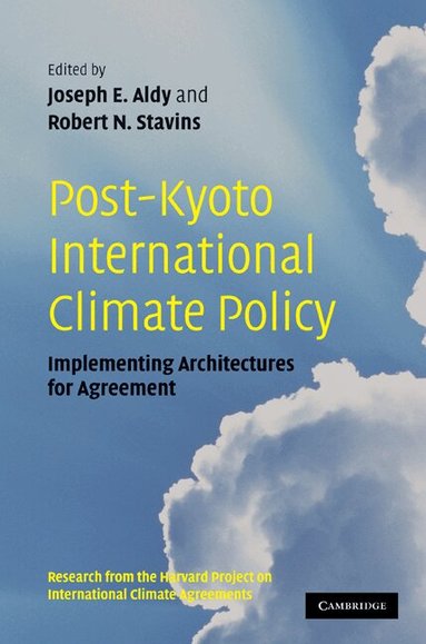 Joseph E. Aldy, Robert N. Stavins - Post-Kyoto International Climate Policy, Inbunden