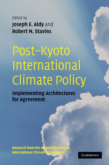 bokomslag Post-Kyoto International Climate Policy