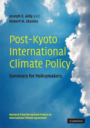 Joseph E. Aldy, Robert N. Stavins - Post-Kyoto International Climate Policy, Häftad