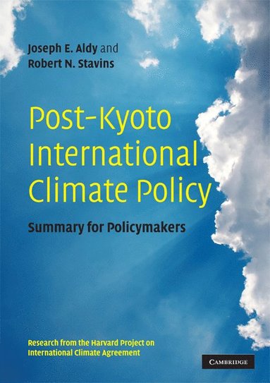 bokomslag Post-Kyoto International Climate Policy