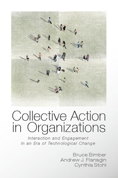 bokomslag Collective Action in Organizations