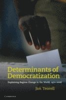 bokomslag Determinants of Democratization