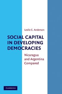 bokomslag Social Capital in Developing Democracies