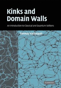 bokomslag Kinks and Domain Walls