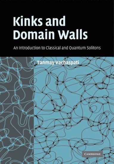 bokomslag Kinks and Domain Walls