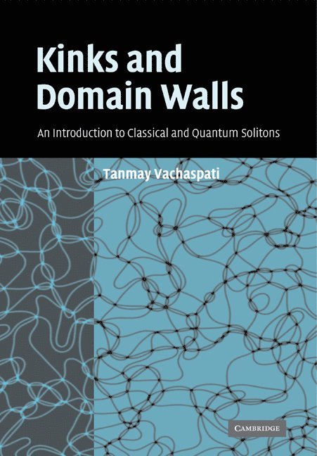 Tanmay Vachaspati, Vachaspati Tanmay - Kinks and Domain Walls, Häftad