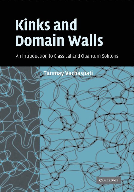 Kinks and Domain Walls 1