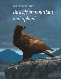 bokomslag Bird Life of Mountain and Upland