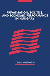 bokomslag Privatisation, Politics, and Economic Performance in Hungary