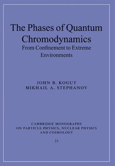 bokomslag The Phases of Quantum Chromodynamics