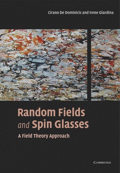 bokomslag Random Fields and Spin Glasses