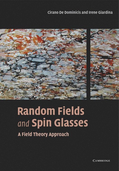 Random Fields and Spin Glasses 1