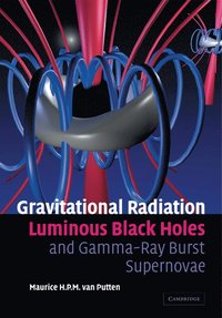 bokomslag Gravitational Radiation, Luminous Black Holes and Gamma-Ray Burst Supernovae