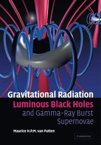 bokomslag Gravitational Radiation, Luminous Black Holes and Gamma-Ray Burst Supernovae