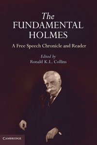 bokomslag The Fundamental Holmes