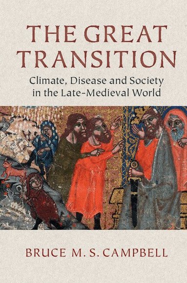 Bruce M. S. Campbell - The Great Transition, Häftad