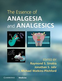 bokomslag The Essence of Analgesia and Analgesics