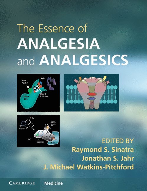 Raymond S. Sinatra, Jonathan S. Jahr, J. Michael Watkins-Pitchford, School of Medicine) Jahr, Jonathan S. (University of California, Los Angeles - The Essence of Analgesia and Analgesics, Häftad