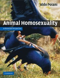 bokomslag Animal Homosexuality