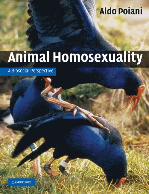 Animal Homosexuality 1