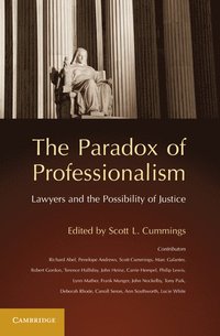 bokomslag The Paradox of Professionalism