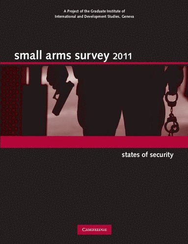 bokomslag Small Arms Survey 2011