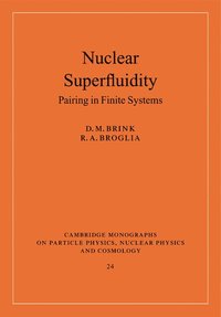 bokomslag Nuclear Superfluidity