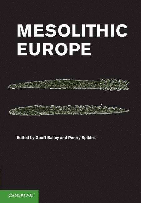 Geoff (University of York) Bailey, Penny (University of York) Spikins, Geoff Bailey, Penny Spikins - Mesolithic Europe, Häftad
