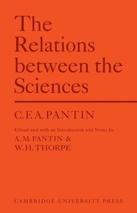 bokomslag Relations Between Sciences