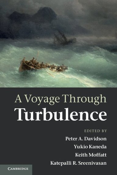 Peter A. Davidson, Yukio Kaneda, Keith Moffatt, Katepalli R. Sreenivasan - A Voyage Through Turbulence, Häftad