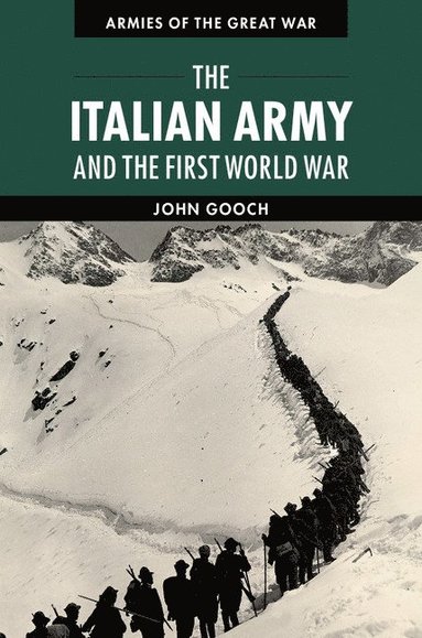 bokomslag The Italian Army and the First World War