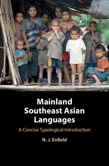 N. J. Enfield - Mainland Southeast Asian Languages, Häftad