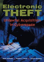 bokomslag Electronic Theft