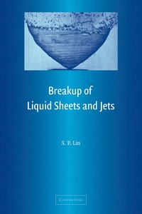 bokomslag Breakup of Liquid Sheets and Jets