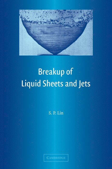 Breakup of Liquid Sheets and Jets 1