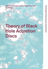 bokomslag Theory of Black Hole Accretion Discs