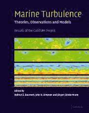 Marine Turbulence 1