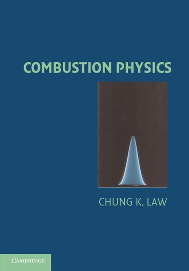 bokomslag Combustion Physics