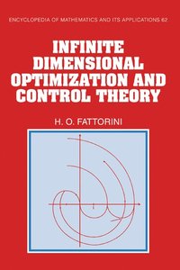 bokomslag Infinite Dimensional Optimization and Control Theory