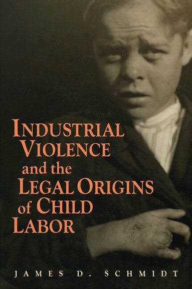 James D. Schmidt - Industrial Violence and the Legal Origins of Child Labor, Häftad