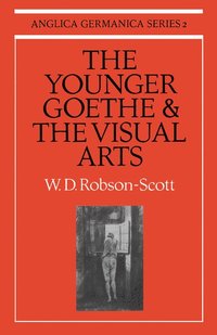 bokomslag The Younger Goethe and the Visual Arts