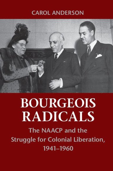 bokomslag Bourgeois Radicals
