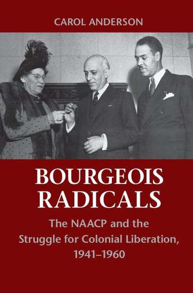 bokomslag Bourgeois Radicals