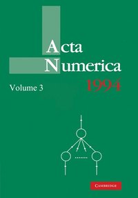 bokomslag Acta Numerica 1994: Volume 3