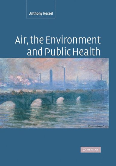 bokomslag Air, the Environment and Public Health