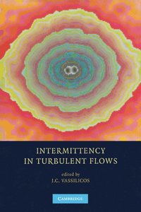 bokomslag Intermittency in Turbulent Flows