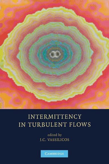 J. C. Vassilicos - Intermittency in Turbulent Flows, Häftad