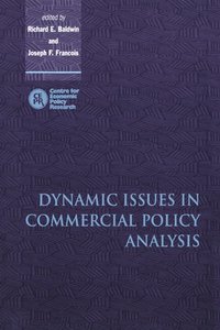 bokomslag Dynamic Issues in Commercial Policy Analysis
